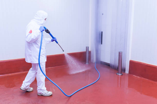 Best Oil Spill Cleanup  in Four Bridges, OH