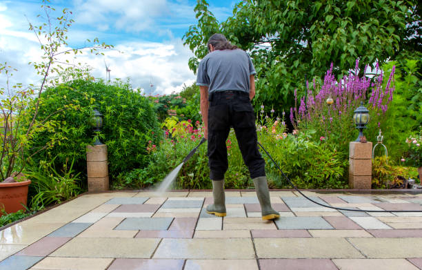 Best Pre-Holiday Cleaning  in Four Bridges, OH